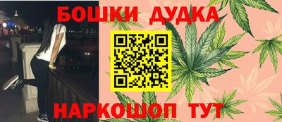 сатива Будённовск