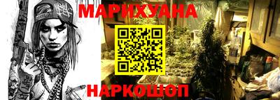 сатива Будённовск