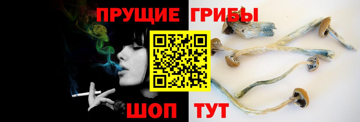 Галлюциногенные грибы Psilocybe  Вход с VPN  Галлюциногенные грибы Psilocybine cubensis  что такое наркотик  Прокопьевск 