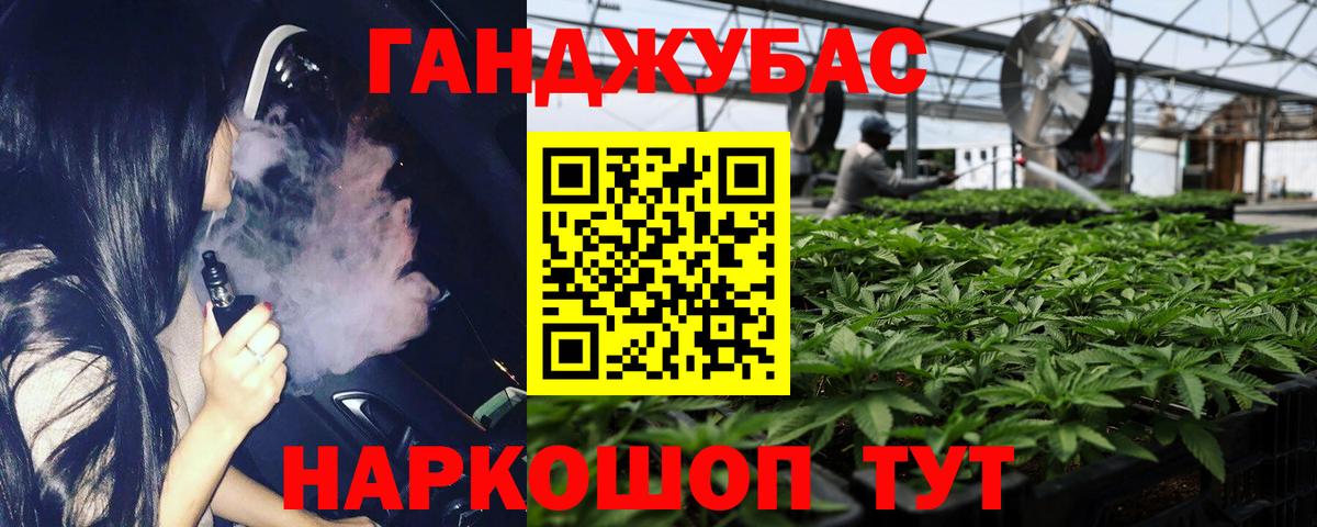 МАРИХУАНА сатива Прокопьевск